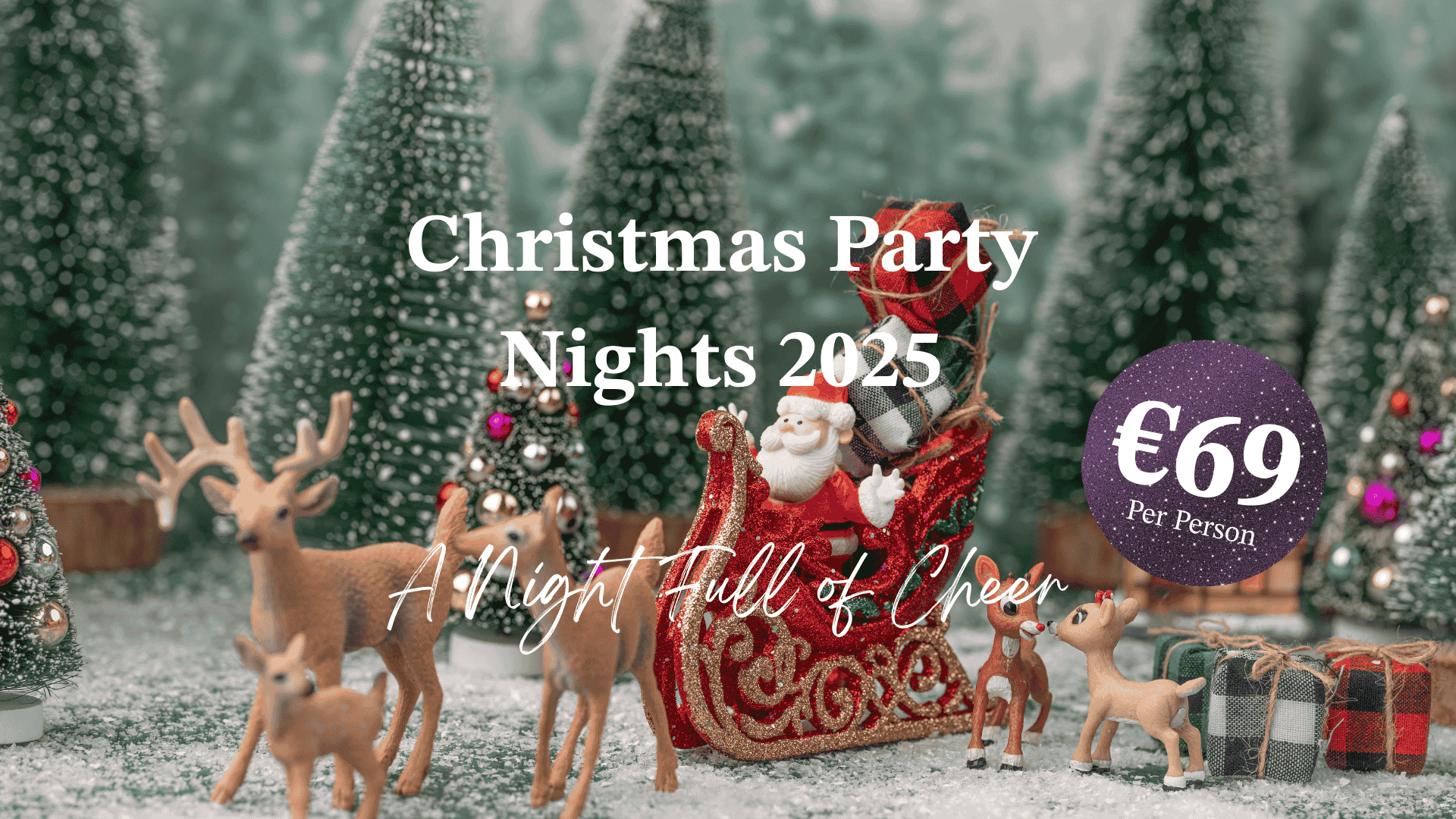 Shared Christmas Party Nights Cork