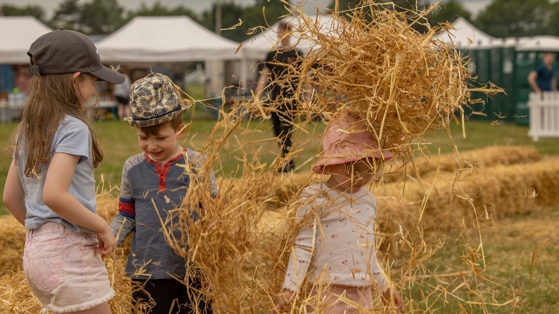 Cork Summer Show 2026